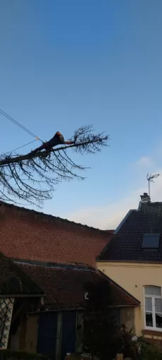 intervention de débitage en surplomb de maison