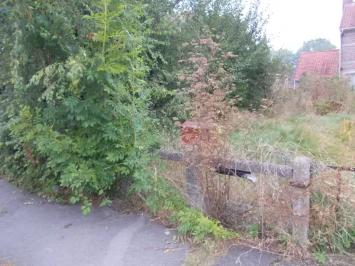 PJE Services : débroussaillage et remise en état d'un terrain à Bruay-la-Buissière, Béthune, PJE Services