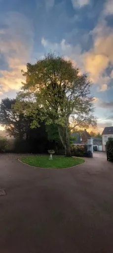 Encore un client satisfait avec un abattage d'un arbre dangereux sur la commune de Pernes en Artois, Béthune, PJE Services