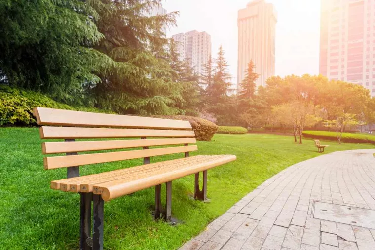 Entretien d'un parc public et taille de haies à Béthune, Béthune, PJE Services