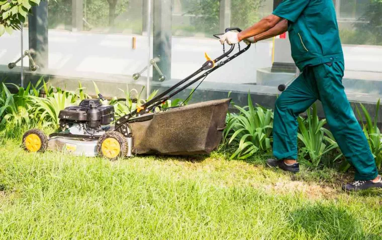 Scarification de la pelouse : quelle saison ?, Béthune, PJE Services