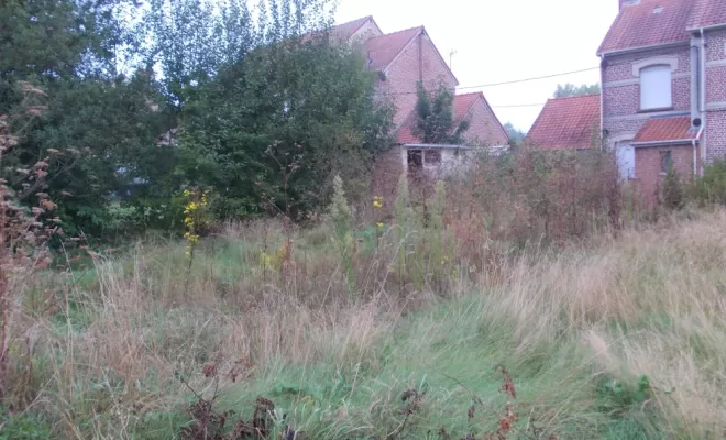 PJE Services : débroussaillage et remise en état d'un terrain à Bruay-la-Buissière, Béthune, PJE Services