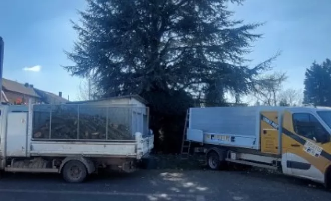 Réduction et équilibrage d'un cèdre bleu par PJE Services à Calonne Ricouart, Béthune, PJE Services