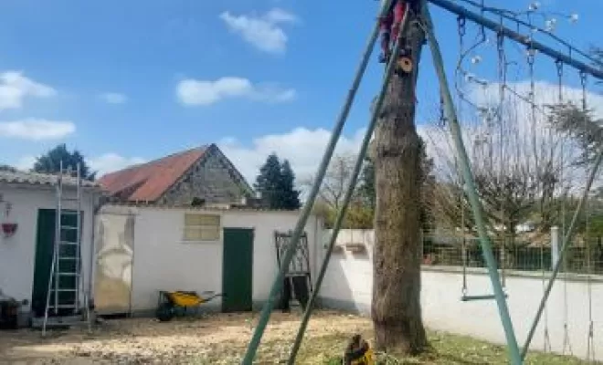 PJE Services : abattage de cerisier à Calonne-Ricouart, Béthune, PJE Services