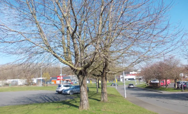 ELAGAGE PORTE NORD BRUAY LABUISSIERE, Béthune, PJE Services