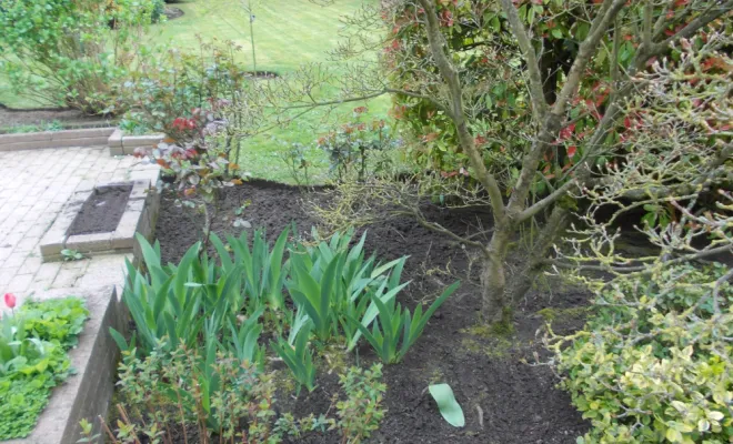 Nettoyage de printemps, Béthune, PJE Services