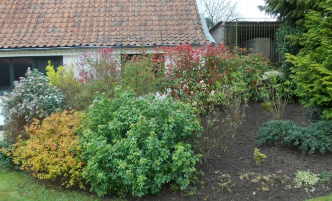 des parterres désherbés à la main et crochetés