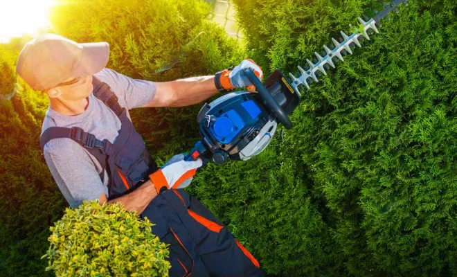 Aménagement paysager, Béthune, PJE Services