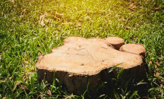 Professionnels, Béthune, PJE Services