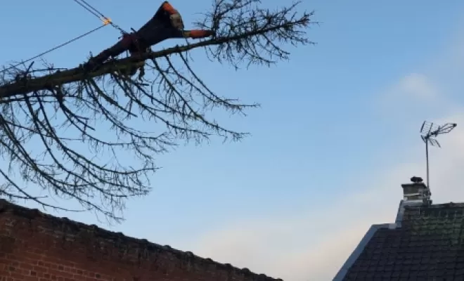 PJE-DEBITAGE D'UN PICEA TOMBE SUR UNE DEPENDANCE ET EN SURPLOMB D'UNE MAISON, Béthune, PJE Services