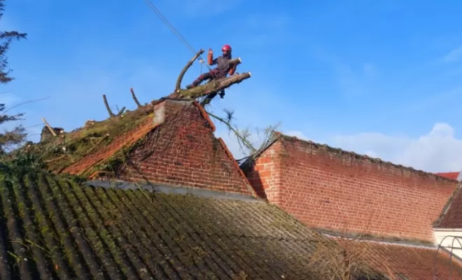 PJE-DEBITAGE D'UN PICEA TOMBE SUR UNE DEPENDANCE ET EN SURPLOMB D'UNE MAISON, Béthune, PJE Services