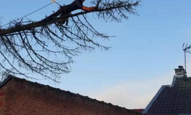 PJE-DEBITAGE D'UN PICEA TOMBE SUR UNE DEPENDANCE ET EN SURPLOMB D'UNE MAISON, Béthune, PJE Services