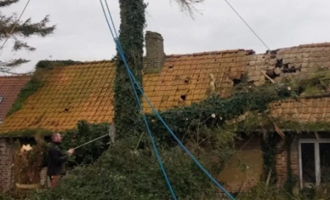 PJE-DEBITAGE D'UN PICEA TOMBE SUR UNE DEPENDANCE ET EN SURPLOMB D'UNE MAISON, Béthune, PJE Services
