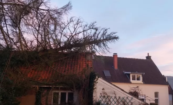 PJE-DEBITAGE D'UN PICEA TOMBE SUR UNE DEPENDANCE ET EN SURPLOMB D'UNE MAISON, Béthune, PJE Services