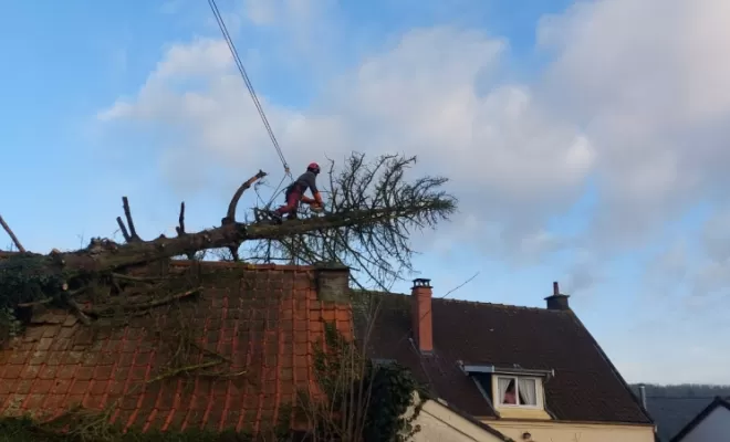 PJE-DEBITAGE D'UN PICEA TOMBE SUR UNE DEPENDANCE ET EN SURPLOMB D'UNE MAISON, Béthune, PJE Services