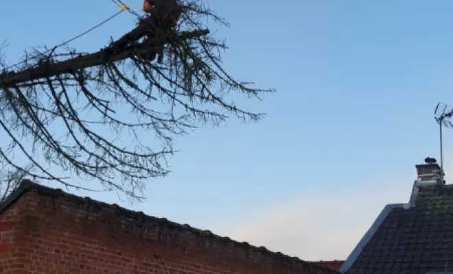 PJE-DEBITAGE D'UN PICEA TOMBE SUR UNE DEPENDANCE ET EN SURPLOMB D'UNE MAISON, Béthune, PJE Services