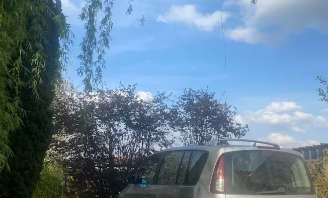 Démontage d'un pin d'Autriche, Béthune, PJE Services