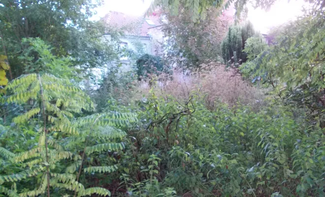 AVANT/APRES SUR LA COMMUNE DE BRUAY, Béthune, PJE Services