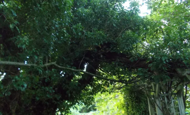 AVANT/APRES SUR LA COMMUNE DE BRUAY, Béthune, PJE Services