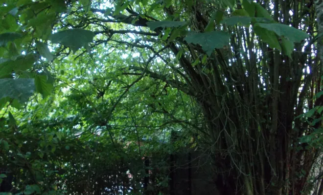 AVANT/APRES SUR LA COMMUNE DE BRUAY, Béthune, PJE Services