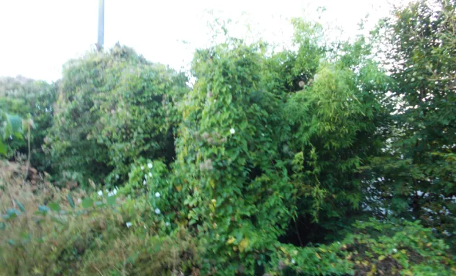 AVANT/APRES SUR LA COMMUNE DE BRUAY, Béthune, PJE Services