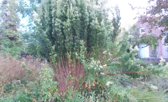 AVANT/APRES SUR LA COMMUNE DE BRUAY, Béthune, PJE Services