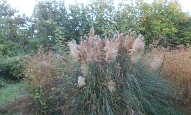 AVANT/APRES SUR LA COMMUNE DE BRUAY, Béthune, PJE Services