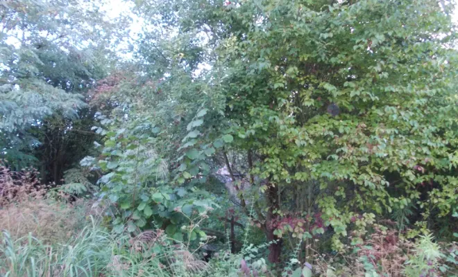 AVANT/APRES SUR LA COMMUNE DE BRUAY, Béthune, PJE Services