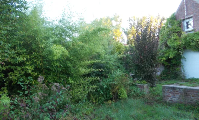 AVANT/APRES SUR LA COMMUNE DE BRUAY, Béthune, PJE Services