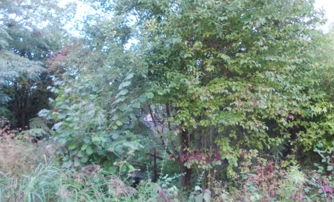 AVANT/APRES SUR LA COMMUNE DE BRUAY, Béthune, PJE Services