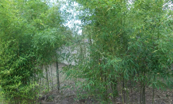 AVANT/APRES SUR LA COMMUNE DE BRUAY, Béthune, PJE Services