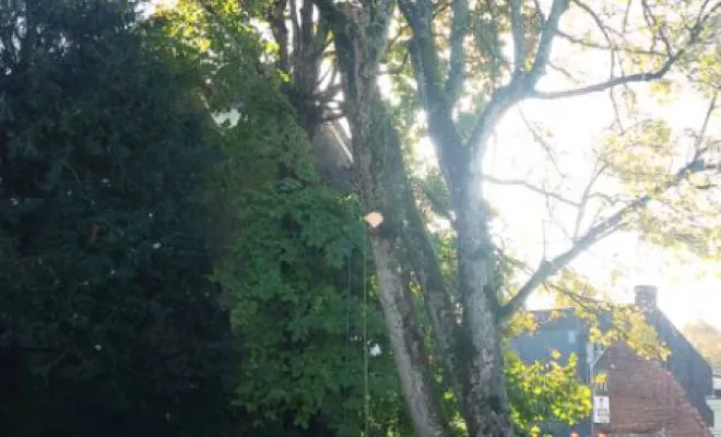 démontage par ascension et rétention