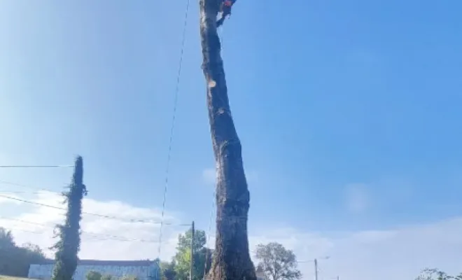 Abattage par démontage, Béthune, PJE Services